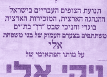 תמונה11