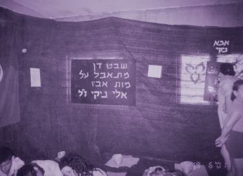 תמונה12