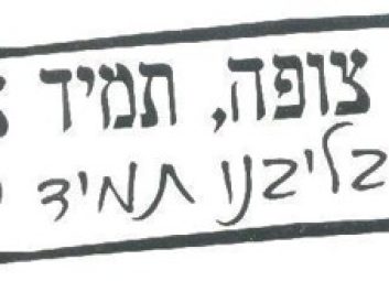תמונה13