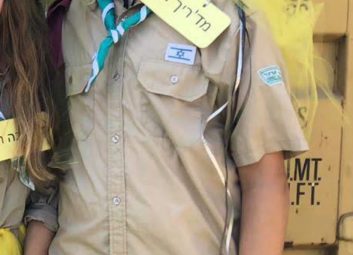 דוד חזות 4