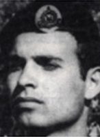 חביב-אבי חלפון