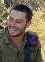 לביא ליפשיץ