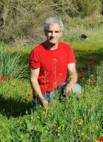 רפי סבירסקי